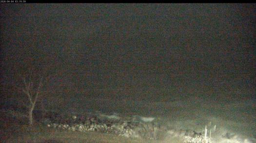 Weather camera view of Carthage College.