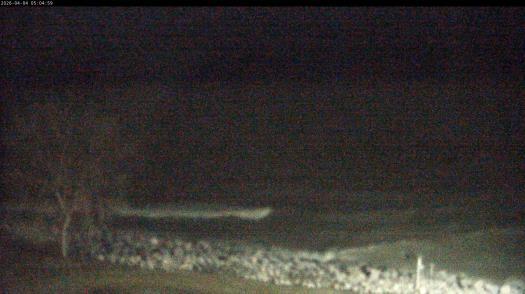 Weather camera view of Carthage College.