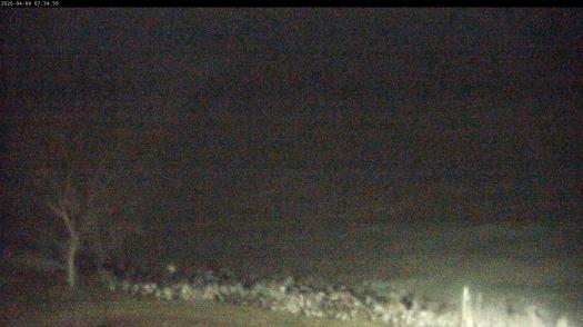 Weather camera view of Carthage College.