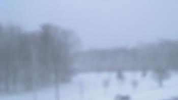 Weather camera view of Kane Area SD.