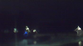 Weather camera view of Kane Area SD.