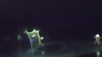 Weather camera view of Kane Area SD.