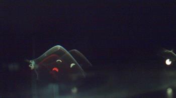 Weather camera view of Kane Area SD.