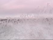 Weather camera view of Kettering MS.