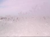 Weather camera view of Kettering MS.