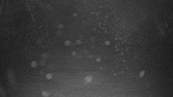 Weather camera view of Lagoon Park.