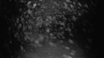 Weather camera view of Lagoon Park.