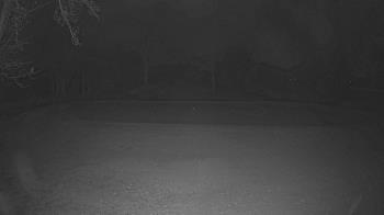 Weather camera view of Lagoon Park.