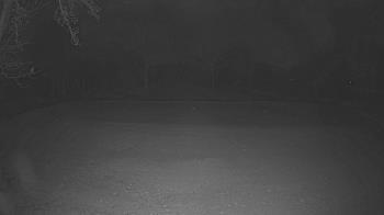 Weather camera view of Lagoon Park.