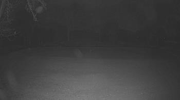 Weather camera view of Lagoon Park.