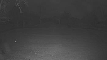 Weather camera view of Lagoon Park.