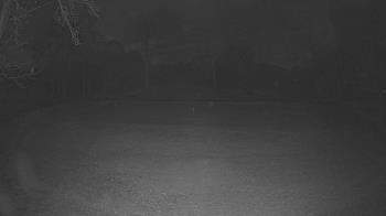 Weather camera view of Lagoon Park.