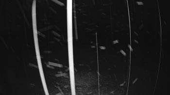 Weather camera view of Lagoon Park.