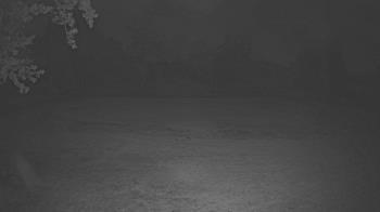 Weather camera view of Lagoon Park.