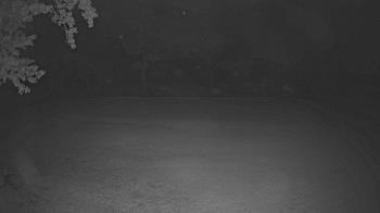 Weather camera view of Lagoon Park.