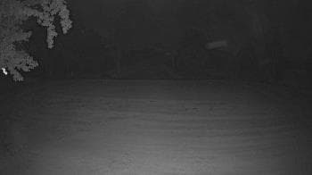 Weather camera view of Lagoon Park.