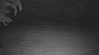 Weather camera view of Lagoon Park.