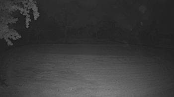 Weather camera view of Lagoon Park.