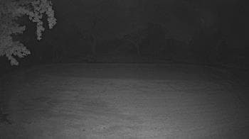 Weather camera view of Lagoon Park.