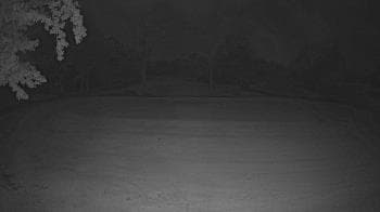 Weather camera view of Lagoon Park.