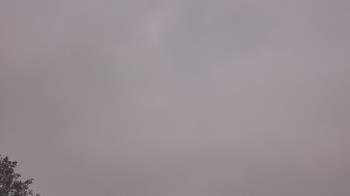 Weather camera view of The Lamplighter School.