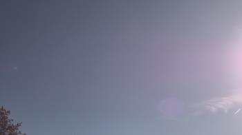 Weather camera view of The Lamplighter School.