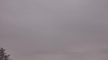 Weather camera view of The Lamplighter School.