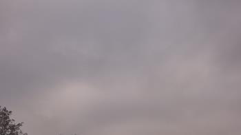 Weather camera view of The Lamplighter School.