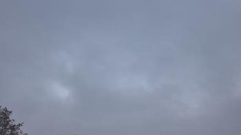 Weather camera view of The Lamplighter School.