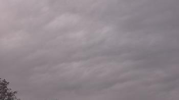 Weather camera view of The Lamplighter School.