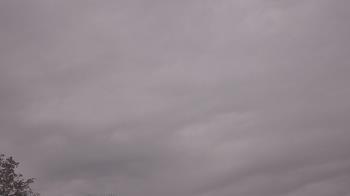 Weather camera view of The Lamplighter School.