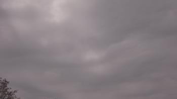 Weather camera view of The Lamplighter School.