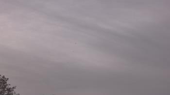 Weather camera view of The Lamplighter School.