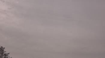 Weather camera view of The Lamplighter School.