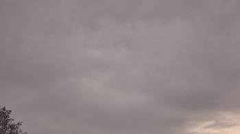 Weather camera view of The Lamplighter School.