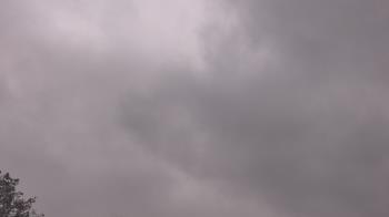 Weather camera view of The Lamplighter School.