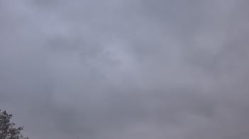 Weather camera view of The Lamplighter School.