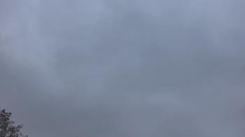 Weather camera view of The Lamplighter School.