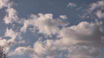 Weather camera view of The Lamplighter School.