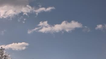 Weather camera view of The Lamplighter School.