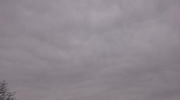 Weather camera view of The Lamplighter School.