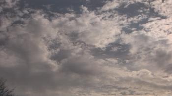 Weather camera view of The Lamplighter School.