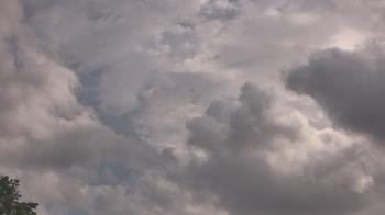 Weather camera view of The Lamplighter School.