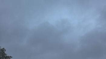 Weather camera view of The Lamplighter School.