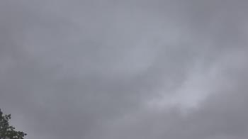 Weather camera view of The Lamplighter School.