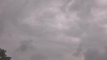 Weather camera view of The Lamplighter School.