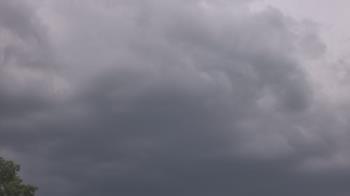 Weather camera view of The Lamplighter School.