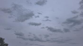 Weather camera view of The Lamplighter School.