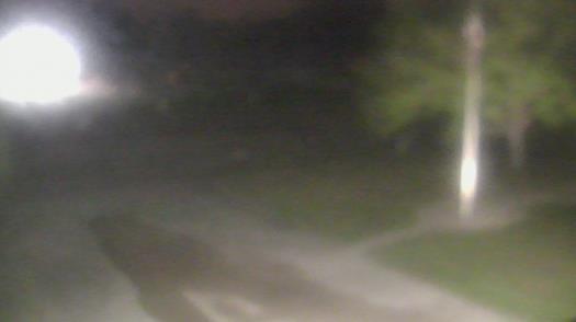 Weather camera view of City of League City Fire Station 4.