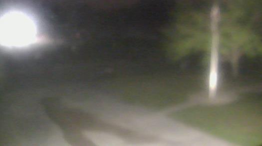 Weather camera view of City of League City Fire Station 4.